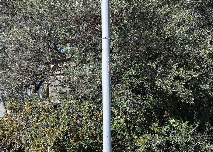Panzió D'hotes Chante Cigale La Ciotat