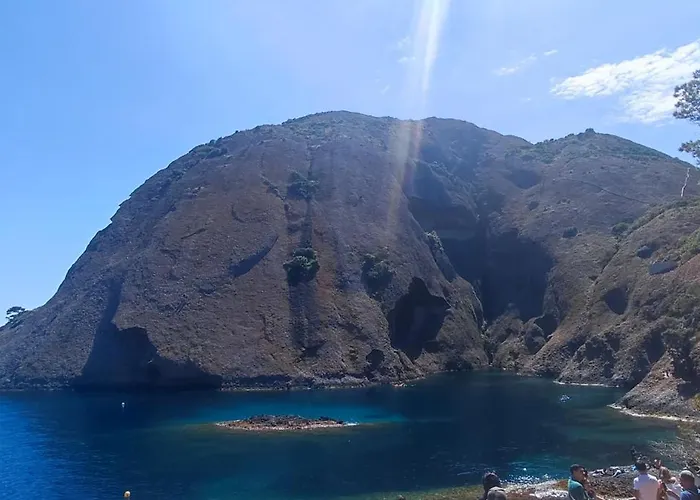 D'hotes Chante Cigale